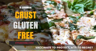 Exploring Gluten-Free Options: The Truth About Cornmeal Crust