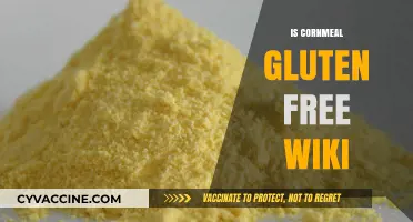Exploring Cornmeal: A Gluten-Free Alternative for Your Diet