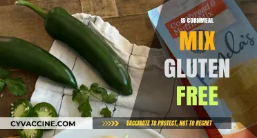Exploring Gluten-Free Options: The Truth About Cornmeal Mix