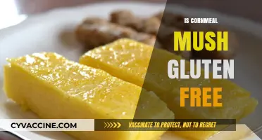 Exploring Gluten-Free Diets: Is Cornmeal Mush a Safe Choice?