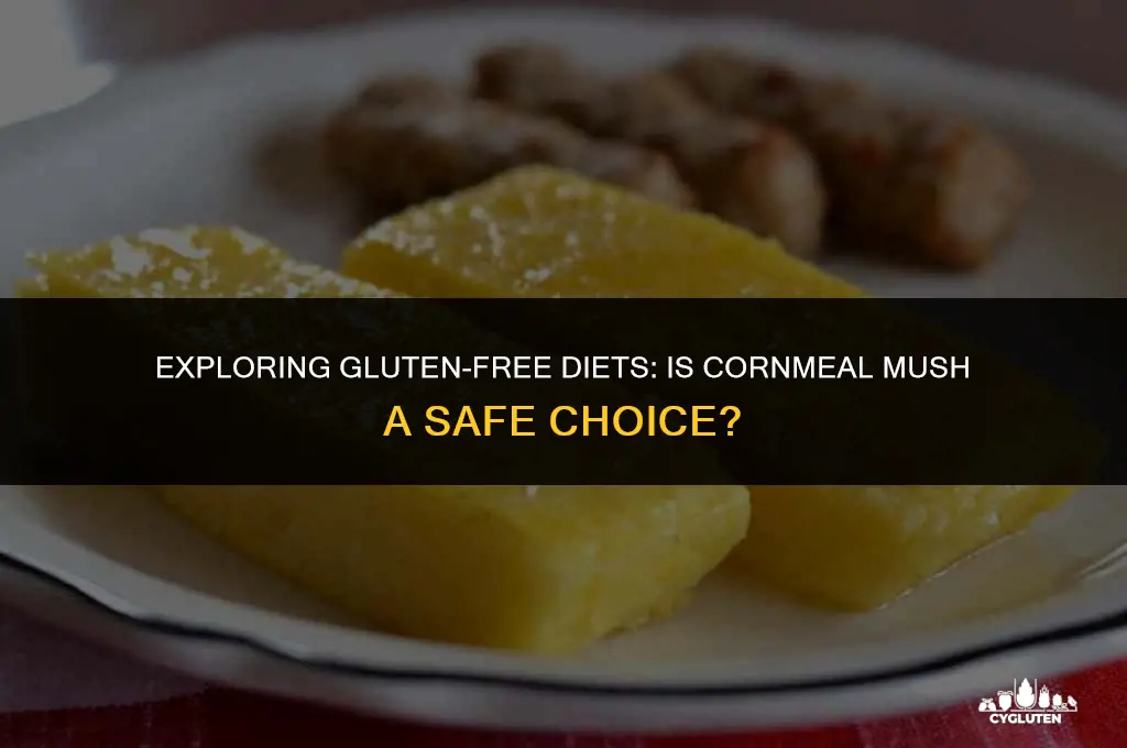 is cornmeal mush gluten free