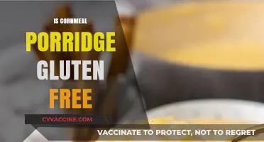 Exploring Gluten-Free Options: Is Cornmeal Porridge a Safe Choice?
