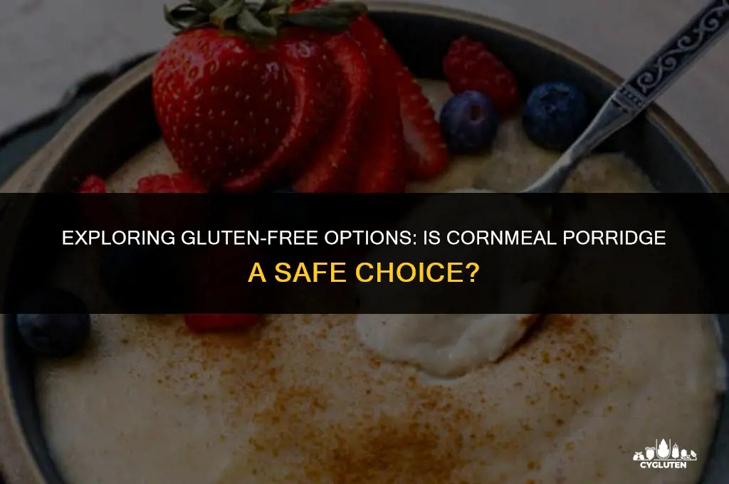 is cornmeal porridge gluten free