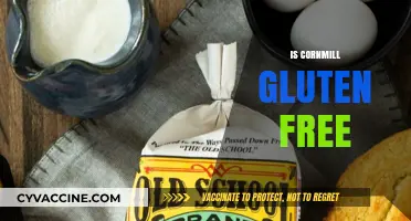 Is Cornmeal Gluten-Free? A Complete Guide to Cornmill Safety
