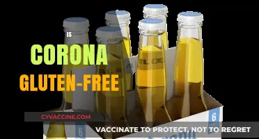 Is Corona Gluten-Free? Exploring the Beer's Ingredients and Options