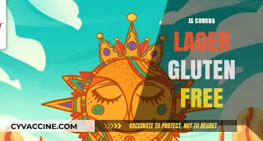 Exploring Gluten-Free Options: Is Corona Lager Safe for Celiacs?