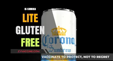 Exploring Gluten-Free Options: Is Corona Lite Safe for Celiacs?