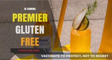Is Corona Premier Gluten-Free? A Complete Guide for Beer Lovers