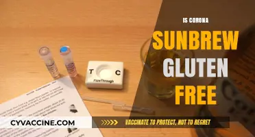 Is Corona Sunbrew Gluten-Free? A Detailed Look at Ingredients