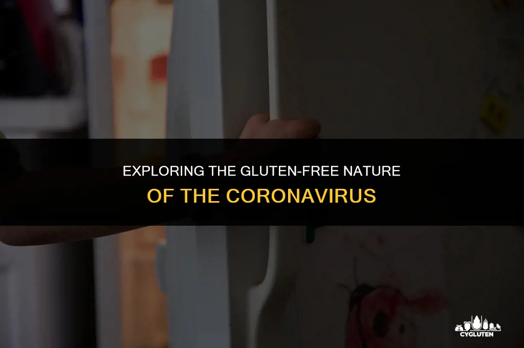 is corona virus gluten free