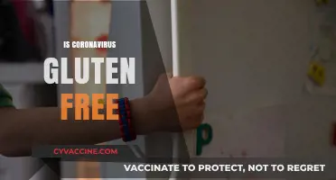 Is Coronavirus Gluten-Free? Debunking Myths and Understanding the Virus