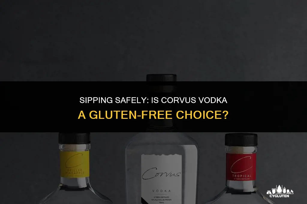 is corvus vodka gluten free