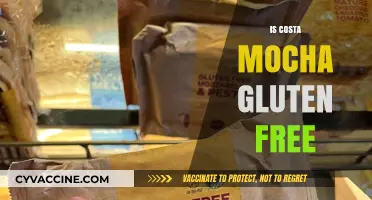 Savoring Costa Mocha: A Gluten-Free Delight or Not?