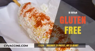 Is Cotija Cheese Gluten-Free? A Complete Guide for Cheese Lovers