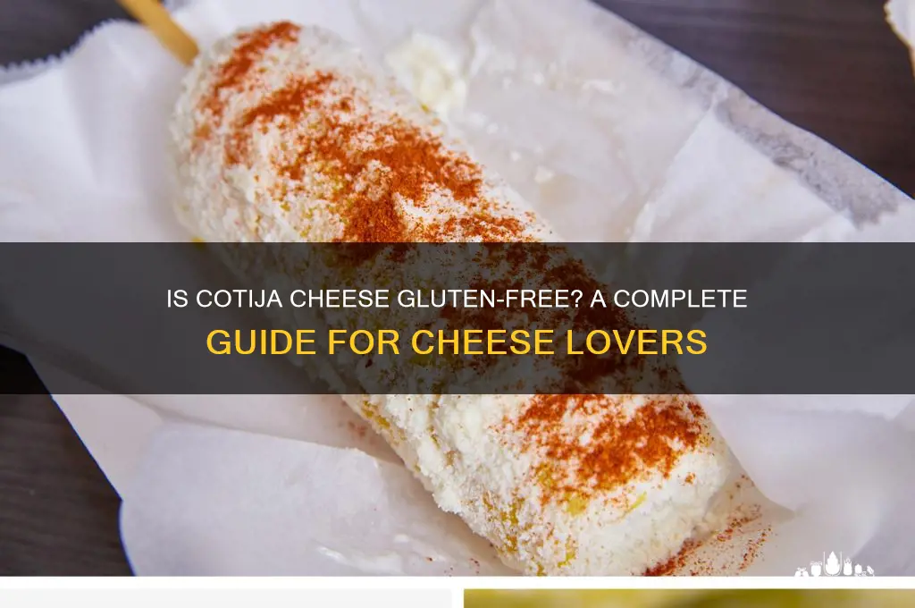 is cotija gluten free