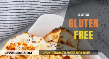 Is Cottage Cheese Gluten-Free? A Complete Guide for Celiac Diets