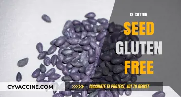 Exploring Cotton Seed: A Gluten-Free Option or Not?