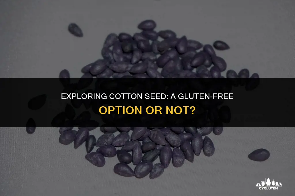 is cotton seed gluten free