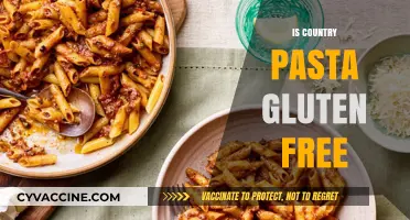 Exploring Gluten-Free Options: Is Country Pasta Safe for Celiacs?