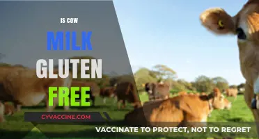 Is Cow's Milk Gluten-Free? Unraveling the Dairy-Gluten Connection