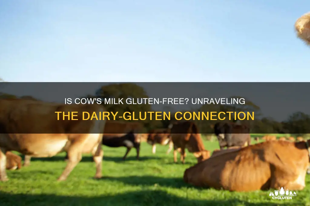 is cow milk gluten free