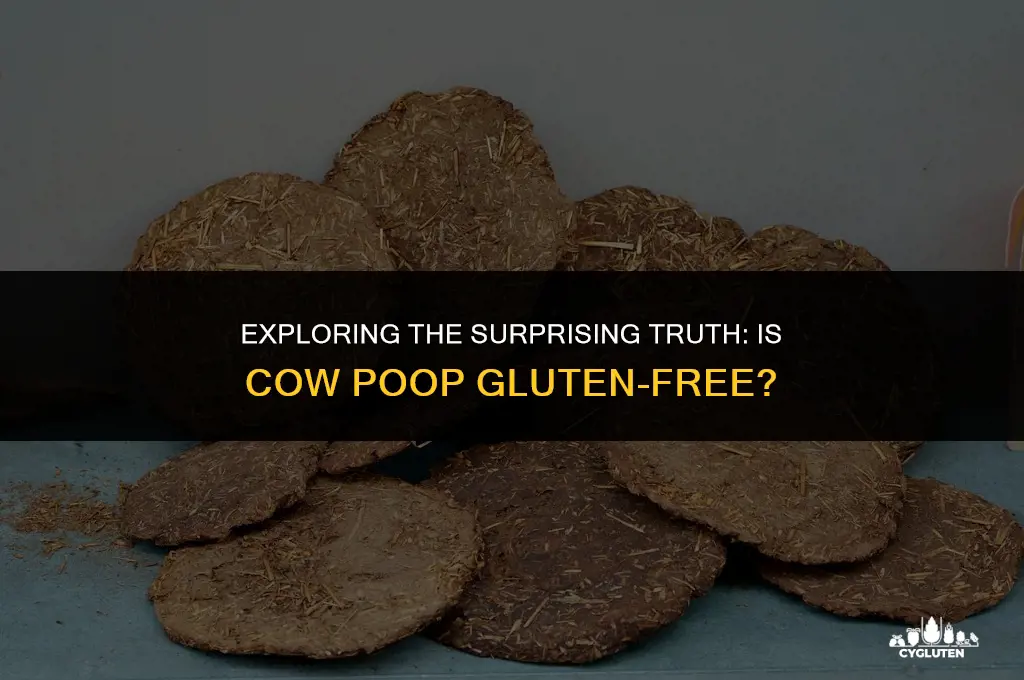 is cow poop gluten free
