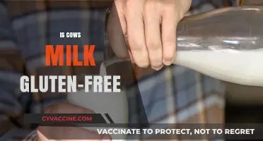 Exploring Dairy Options: Is Cow's Milk Gluten-Free?