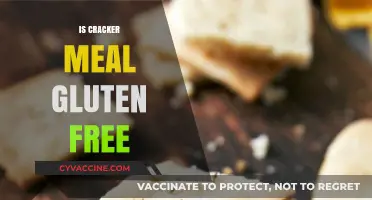 Exploring Gluten-Free Options: The Truth About Cracker Meal