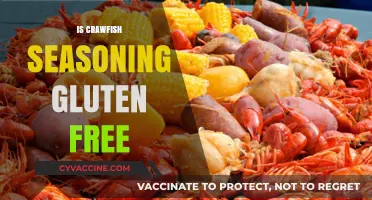 Exploring Gluten-Free Options: Is Crawfish Seasoning Safe for Celiacs?
