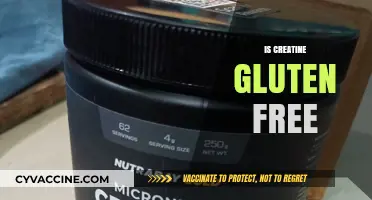 Is Creatine Gluten-Free? A Clear Answer for Your Diet