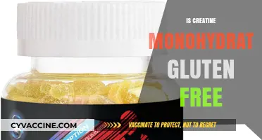 Exploring the Gluten-Free Status of Creatine Monohydrate Supplements