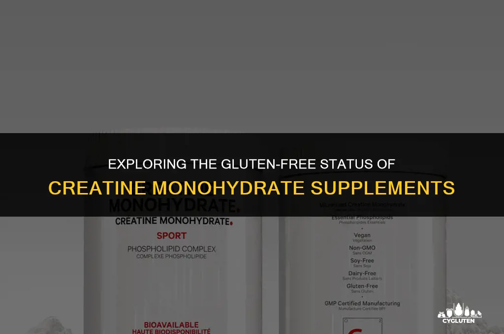 is creatine monohydrate gluten free