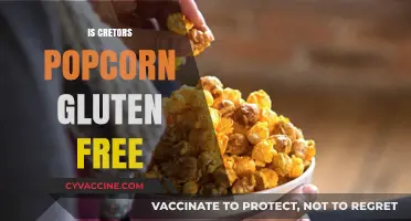Crunching on Creators Popcorn: A Gluten-Free Delight or Not?