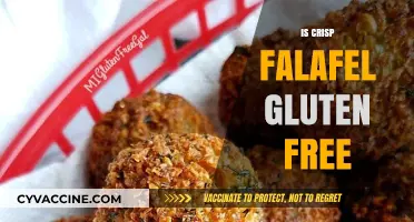 Exploring the Gluten-Free Status of Crispy Falafel: A Delicious Inquiry