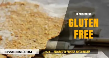 Is Crispbread Gluten-Free? A Complete Guide to Your Snack Choice