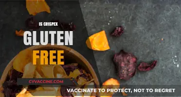 Is Crispex Gluten-Free? A Comprehensive Guide to Your Snack Choice