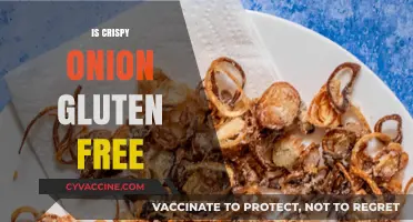 Crunchy Delight: Are Crispy Onions Gluten-Free?