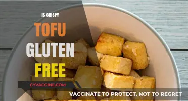Crispy Tofu Delights: A Gluten-Free Option for Food Lovers