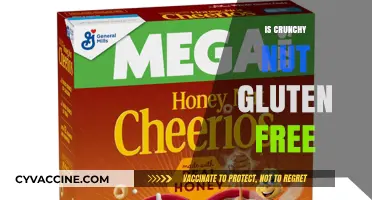 Crunchy Nut Delight: A Gluten-Free Treat for Your Taste Buds