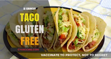Crunchy Taco Delight: A Gluten-Free Option for Taco Lovers