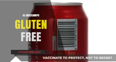 Is Cruzcampo Gluten-Free? A Guide for Celiac Beer Lovers
