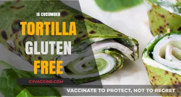 Exploring Gluten-Free Options: Are Cucumber Tortillas a Safe Choice?