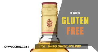 Is Cuervo Gluten-Free? Uncovering the Truth for Celiac Drinkers
