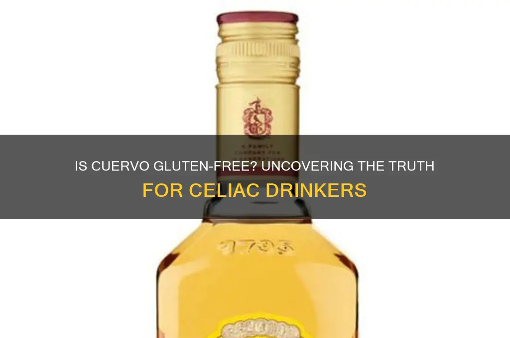 is cuervo gluten free