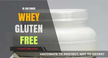 Exploring Cultured Whey: A Gluten-Free Dairy Delight