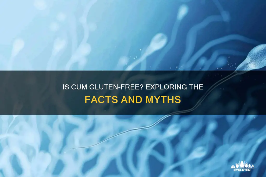 is cum gluten free
