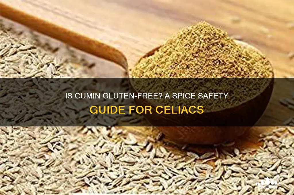 is cumin gluten free