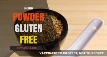 Exploring the Gluten-Free Status of Cumin Powder: A Complete Guide