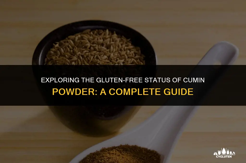 is cumin powder gluten free