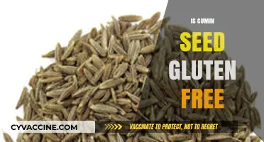 Exploring Cumin Seeds: A Gluten-Free Spice for Flavorful Cooking